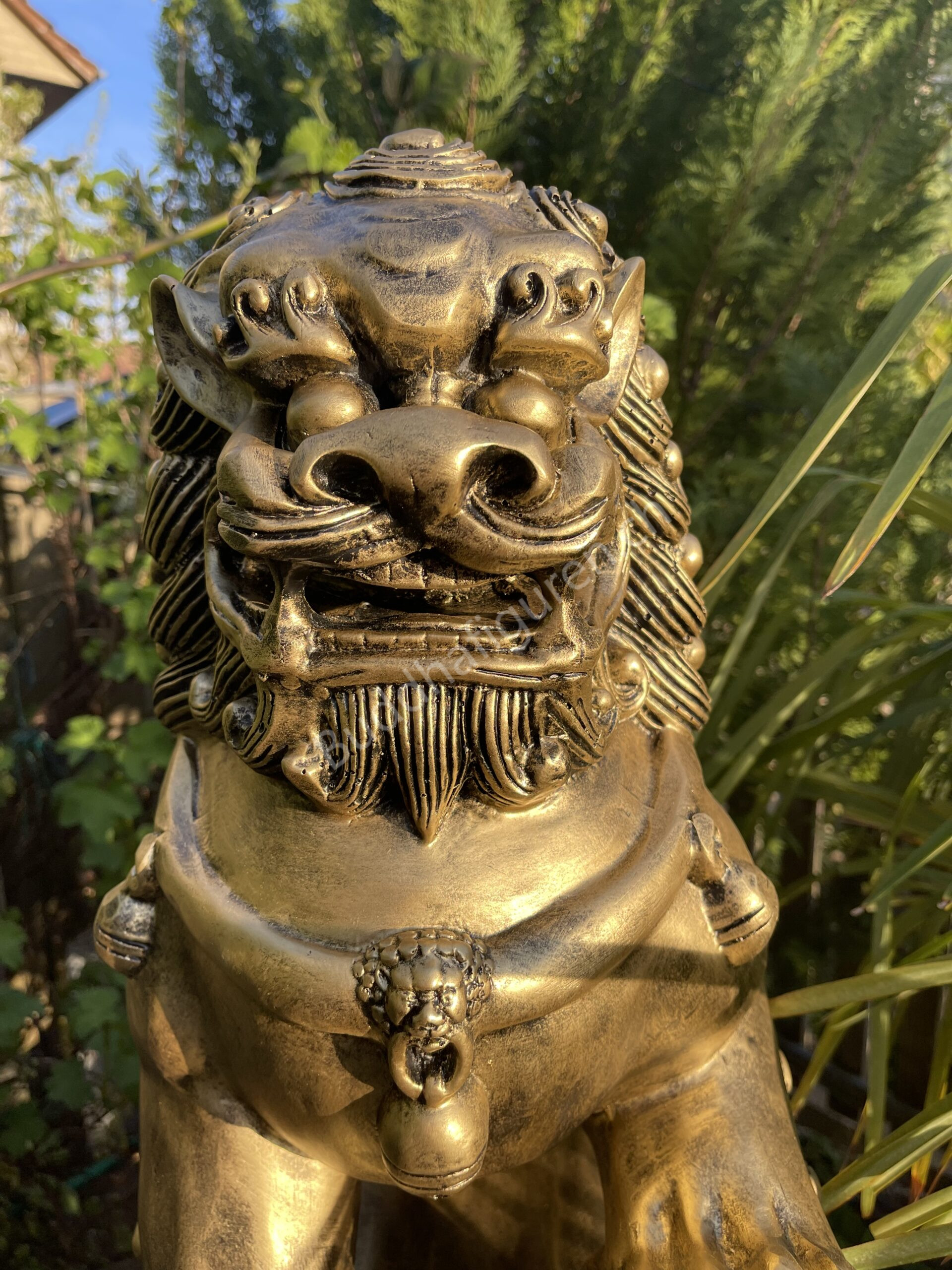Buddha Statue Gross, Chinesischer Wächterlöwe 82 cm hoch 9