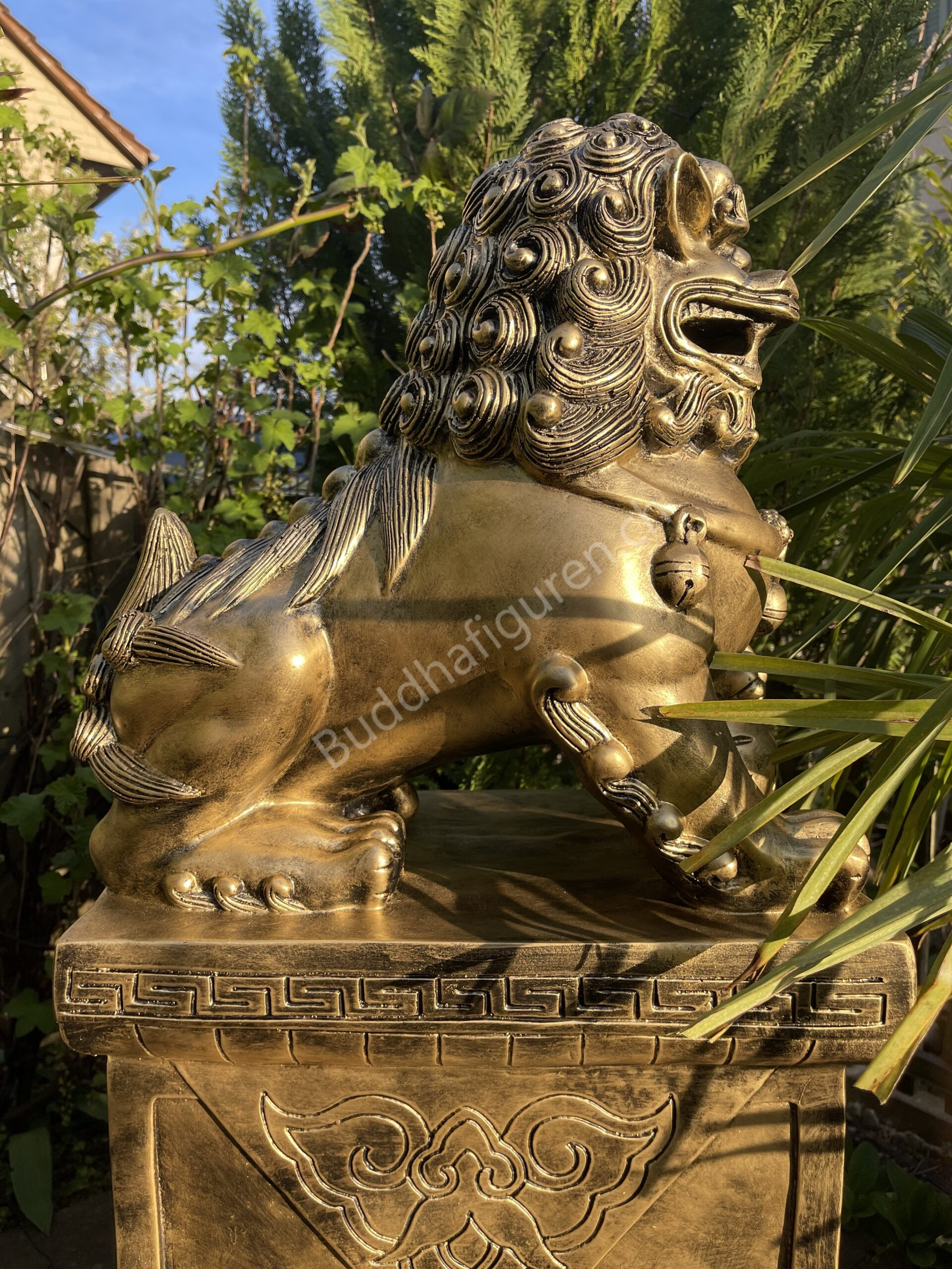 Buddha Statue Gross, Chinesischer Wächterlöwe 82 cm hoch 6