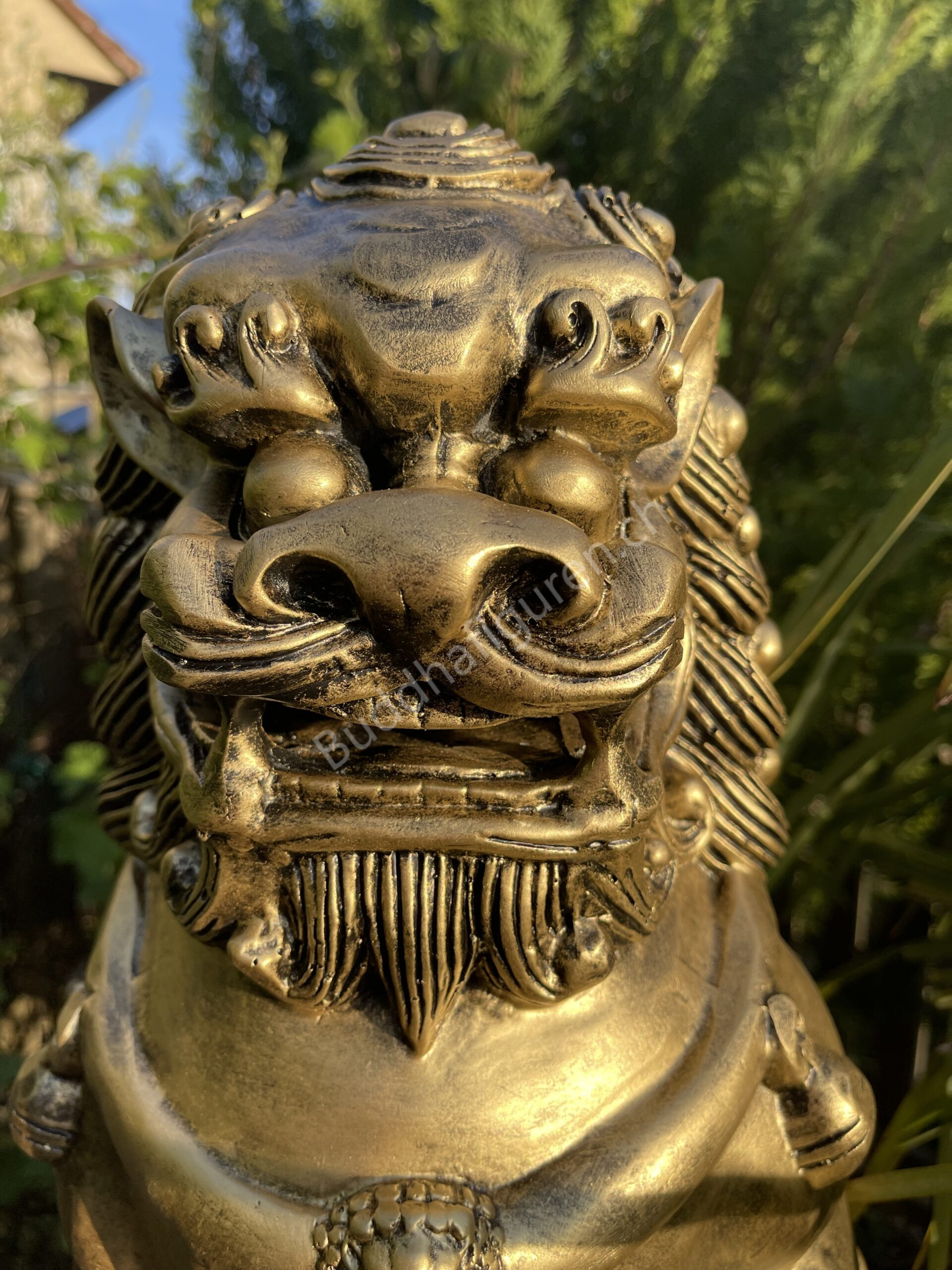 Buddha Statue Gross, Chinesischer Wächterlöwe 82 cm hoch 3